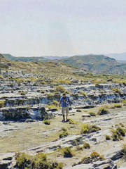 Is Ghode Ko Kamina Bnaate Hai 🤣 | Venom | #shorts #youtubeshorts #shortvideo