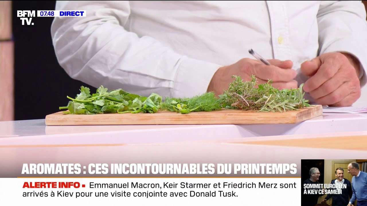 Aromates: ces incontournables du printemps