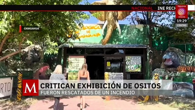 Profepa rescata a osos huérfanos después de un incendio forestal en Chihuahua