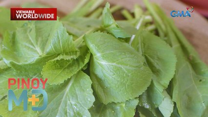 Mustasa, ano ang dalang benepisyo sa kalusugan? | Pinoy MD