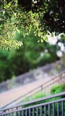 After a loveless marriage and a cancer diagnosis, she left heartbroken—only to return transformed, as her regretful ex begs for another chance.