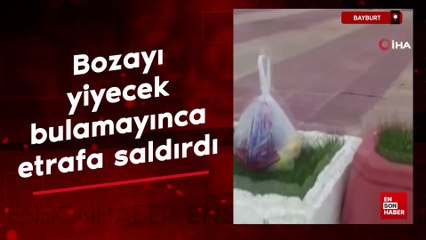 Bayburt'ta bir bozayı yiyecek bulamayınca etrafa saldırdı