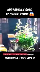 shorts movie explanation mistakenly sold 17 crore stone