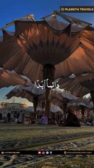 Hajj & Umrah 2025 Packages | Trusted Services by Planeta Travels