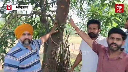 ਪਾਕਿਸਤਾਨ ਵੱਲੋਂ ਪਿੰਡ ਸਾਰੰਗ ਵਿਖੇ ਕੀਤੀ ਗਈ ਭਾਰੀ ਗੋਲਾਬਾਰੀ ਅਤੇ ਡਰੋਨ ਹਮਲੇ, ਹਮਲੇ ਦਾ ਸ਼ਿਕਾਰ ਹੋਏ ਕਈ ਪਸ਼ੂ
