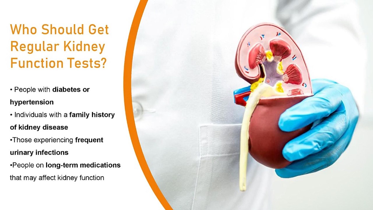 The Importance of Regular Kidney Function Tests