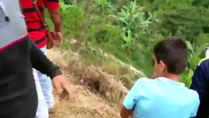 Heavy Machinery and Industrial Mistakes Caught On Camera