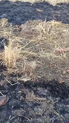ड्रोन और मिसाइल विस्फोट से गुरु नगरी अमृतसर में दहशत