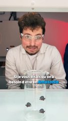 Le mélange piranha est capable de dissoudre n’importe quoi 🐟