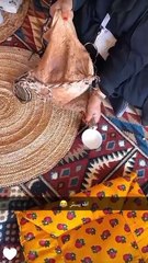 زواج الجادل القحطاني