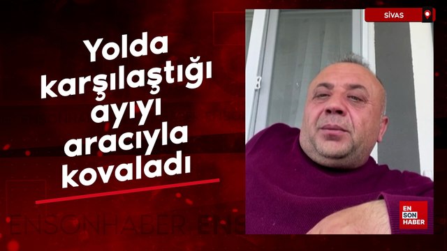 Sivas'ta yolda karşılaştığı ayıyı aracıyla kovaladı