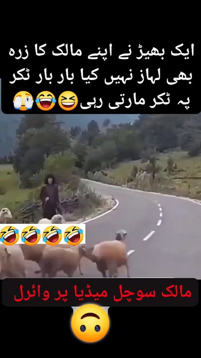 Very funny