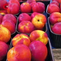 Emekli yurttaş: "Nektarinin tanesi 18 TL. Bir tane nektarin alamam, yiyemem"