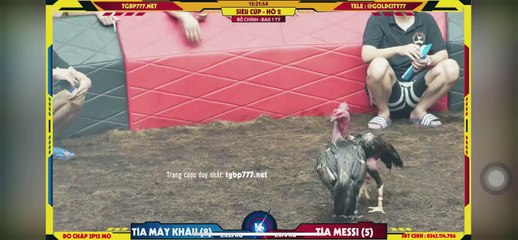 Tía máy khâu vs Tía messi hồ 2