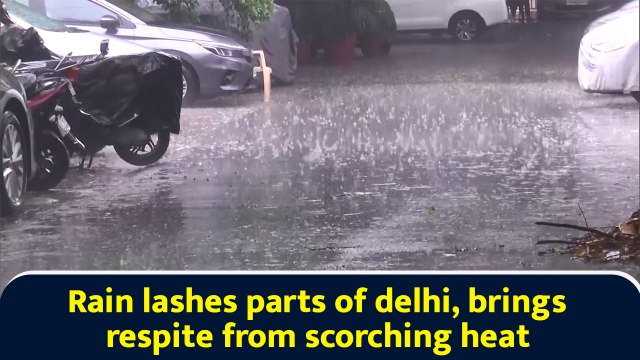 Rain lashes parts of Delhi, brings respite from scorching heat