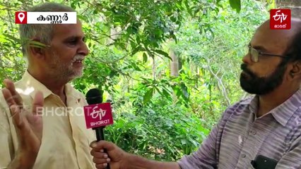 രാസവളമില്ലാതെ കമുകിൽ നൂറുമേനി; അത്യുൽപാദന ശേഷിയുള്ള 'ഇൻ്റർ മോഹിത് നഗർ' തേടി കർഷകർ