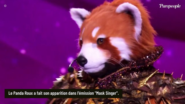 Mask Singer 2025 : Les premiers indices sur le Panda Roux et les premières pistes...