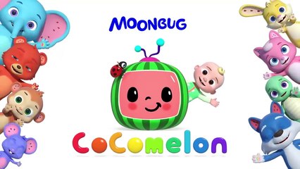 Wheels on the Bus Dance Party _ CoComelon Animal Time _ Animals for Kids