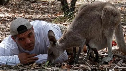 Audio exclusivo de Frank Cuesta hablando con la mayor traficante de animales de Tailandia