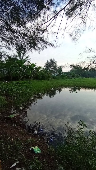 The most beautiful view at lake