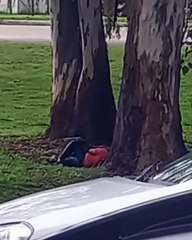 VIDEO. Sorpresa e indignación: filmaron a una pareja teniendo sexo en La Plata