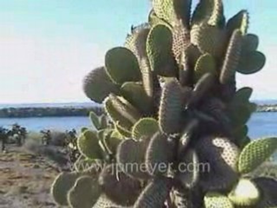 Galapagos Islands travel: Cliffs of South Plaza Island.