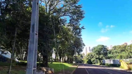 Galho de araucária rompe fiação e deixa Bairro Country sem energia