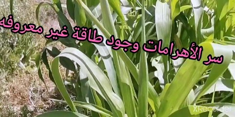 سر الطاقة الموجود في الأهرامات الشكل الهرمي نقي قلبك