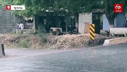 ગુજરાતમાં કમોસમી વરસાદનું જોર, કુતિયાણામાં બે કલાકમાં 6 ઈંચ, સાબરકાંઠામાં અંડરપાસ પાણીમાં ગરકાવ