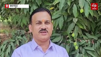 गर्मी बढ़ते ही बाग में फटने लगा है लीची का फल...तो करें यह उपाय, एक्सपर्ट ने बताए बचाव के 3 तरीके, आमदनी भी बढ़ेगी