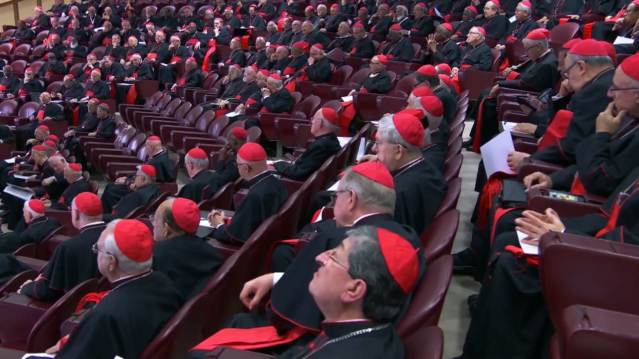 El papa León XIV más cerca de seguir el legado del papa Francisco