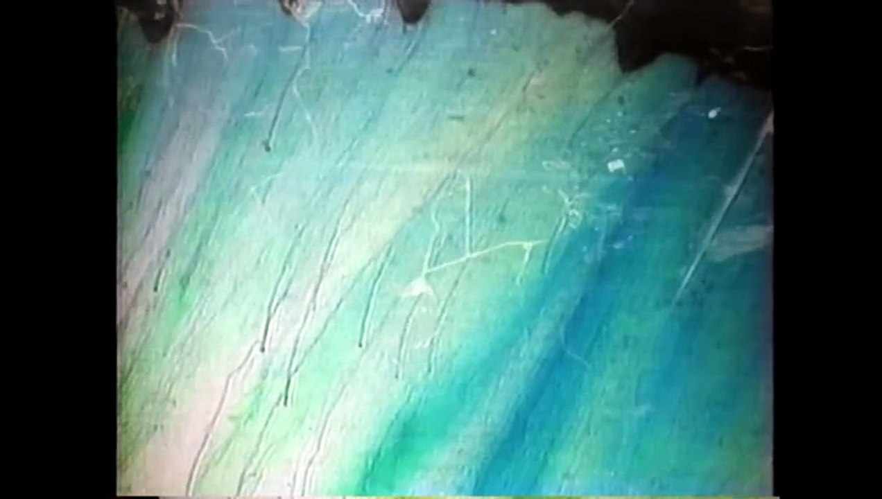 太郎の国の物語３ 　　　司馬遼太郎