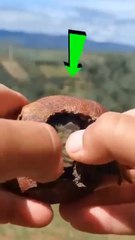 "اِنَّ اللّٰہَ عَلٰی كُلِّ شَیْءٍ قَدِیْرٌ"بے شک اللہ ہر چیز پر قادر ہے