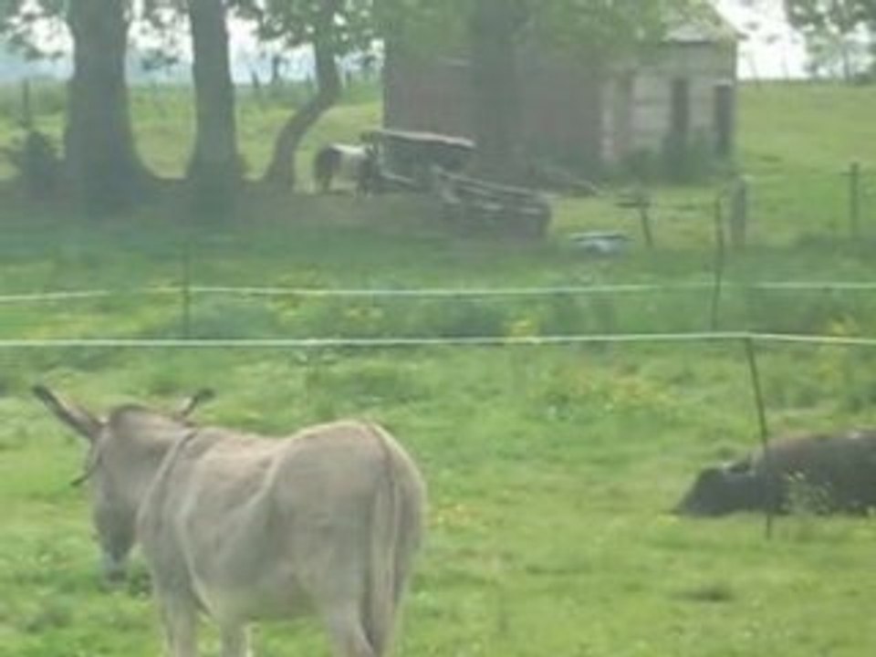 Une bonne roulade après le boulot