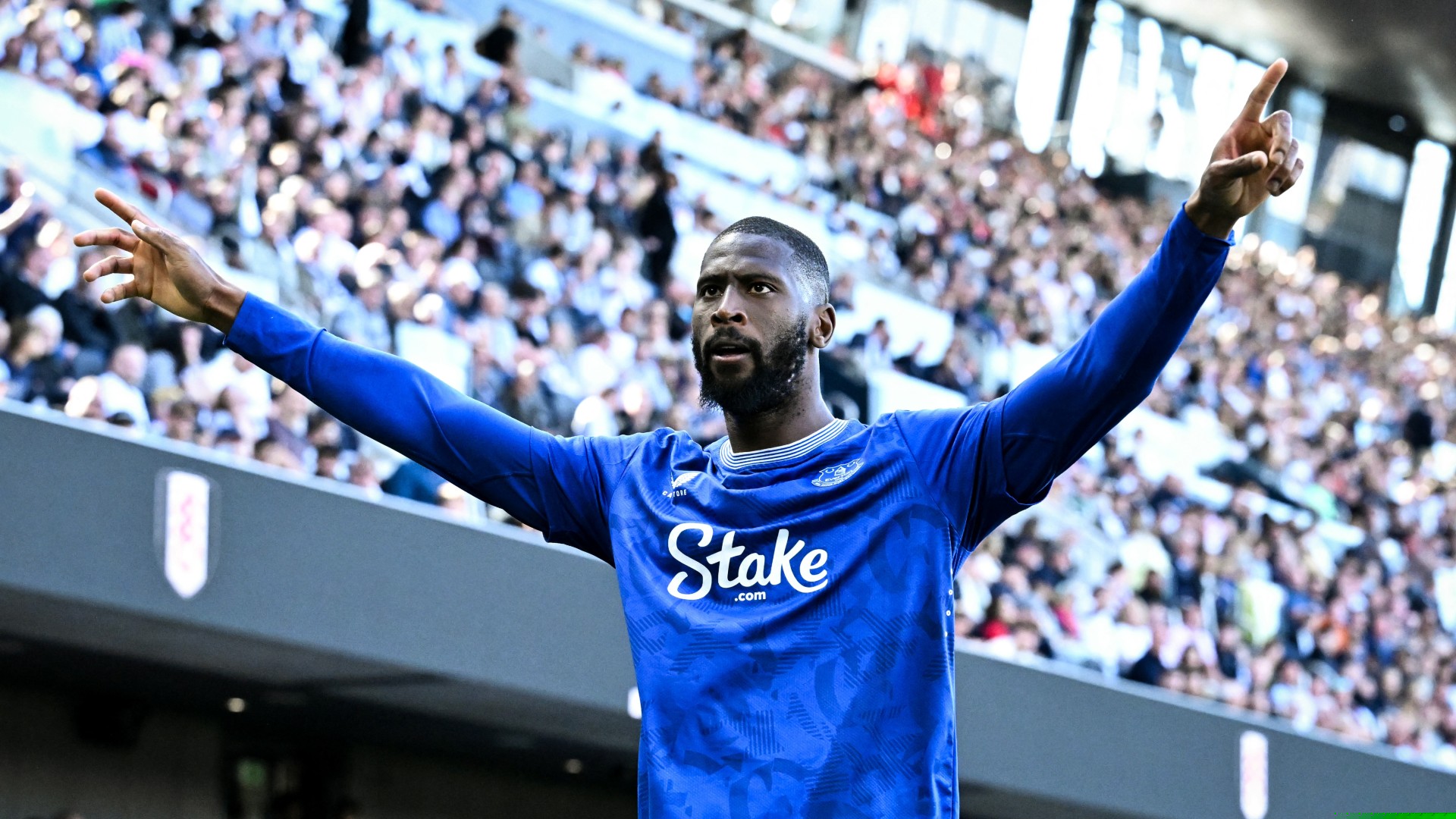 Fulham v Everton