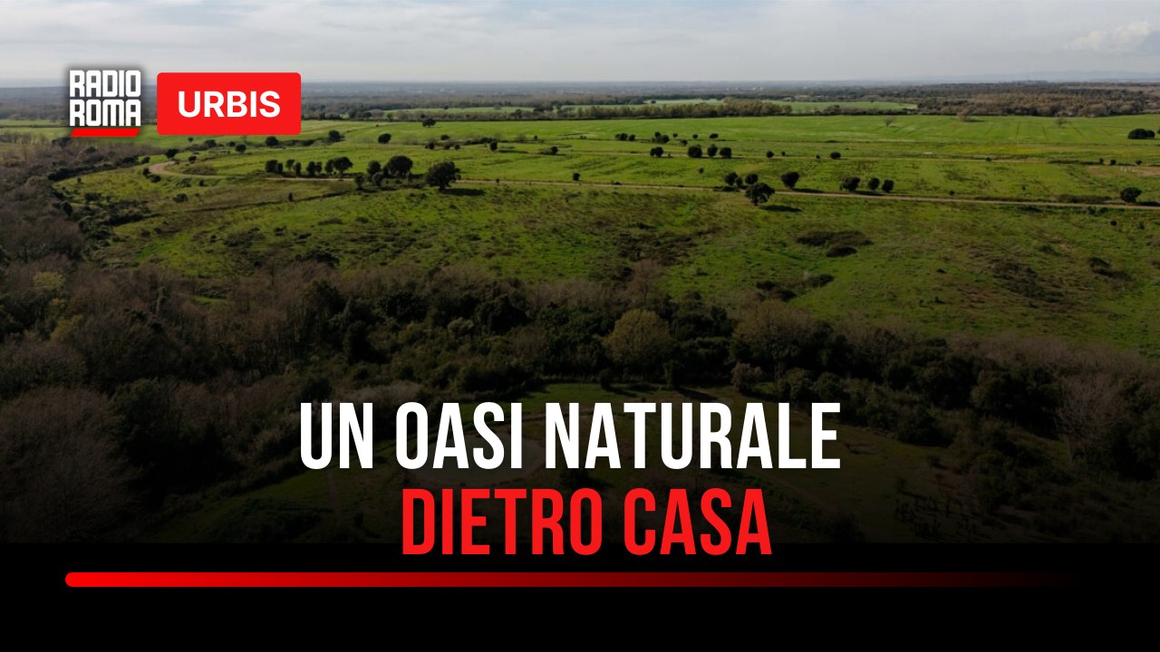 Un'Oasi Naturale dietro casa