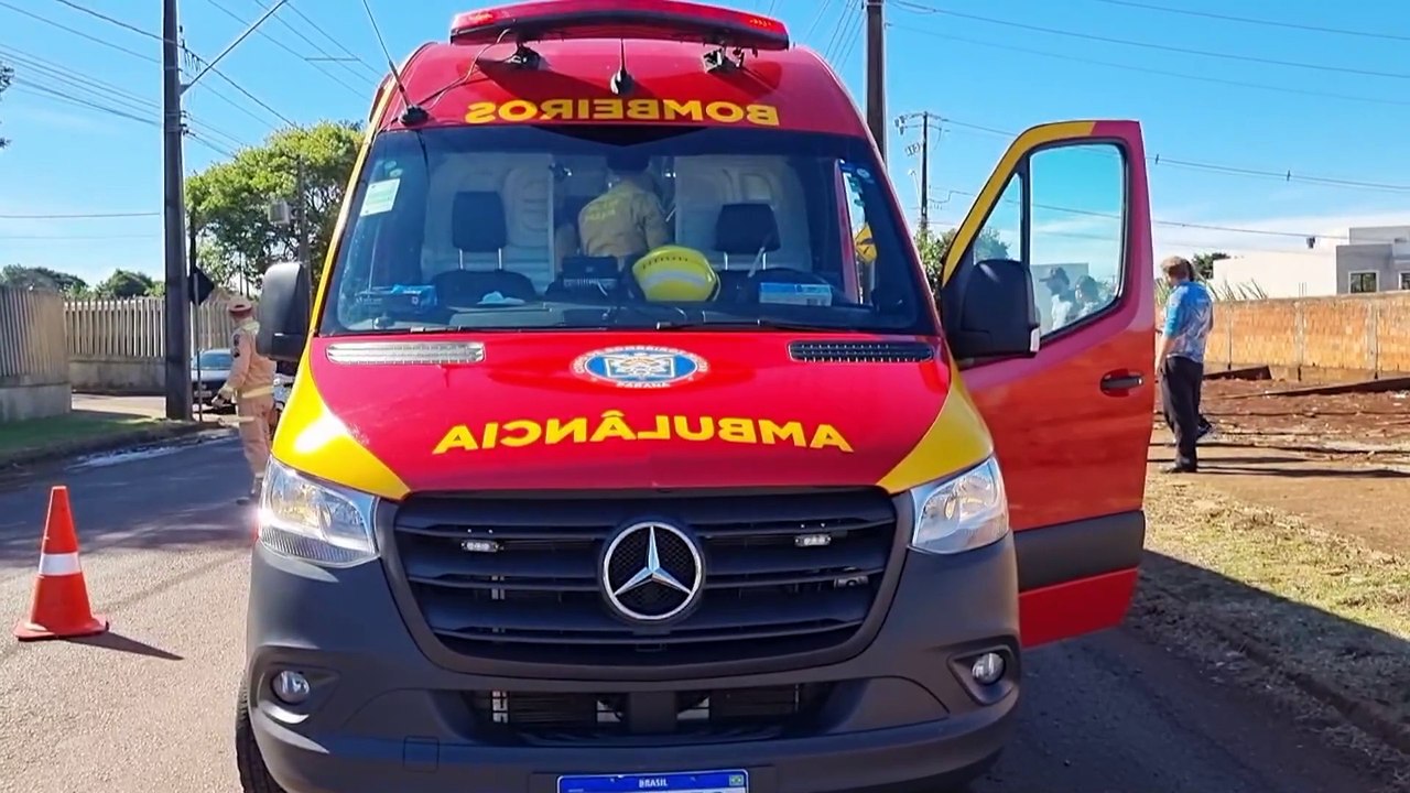 Motorista alérgico a abelhas colide com caminhão após perder consciência