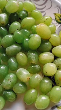 Health benefits of eating green grapes on daily basis.