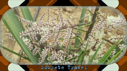 En Güzel Keşfete Düşen Sözler / Paylaşılacak Sözler