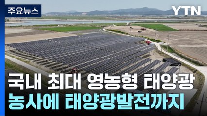 농사에 태양광발전까지...국내 최대 영농형 태양광 준공 / YTN