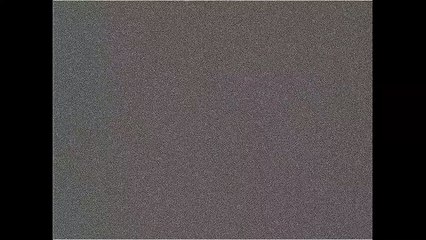 we made it but one of us died along the way