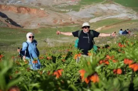Lale devri” başladı: “Muş 1071” doğayı süslüyor