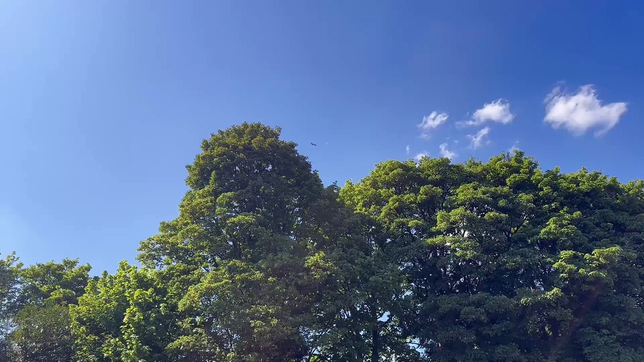 WATCH as a spitfire does a fly past of Haslemere's VE Day celebrations on Lion Green