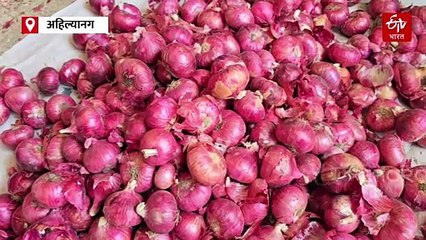 कोपरगावचा कांदा थेट दुबईच्या थाळीत; मात्र कांदा दुबईच्या बाजारात पोहोचल्यानंतर ठरणार दर