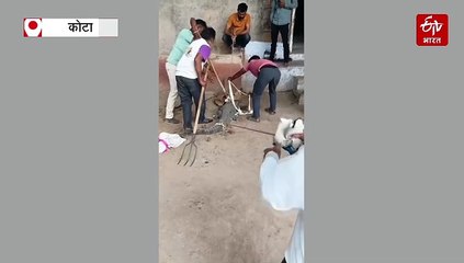 शादी से लौटे तो चौंक गया पूरा परिवार, घर में बैठा था मगरमच्छ