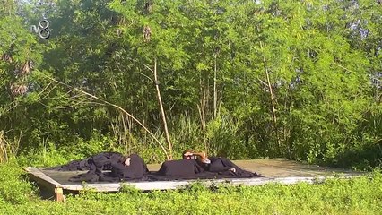 Survivor 2025 All Star 113.Bölüm izle Full 9 Mayıs Tek Part