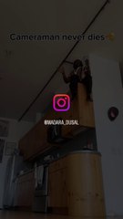 Lion couple with camera