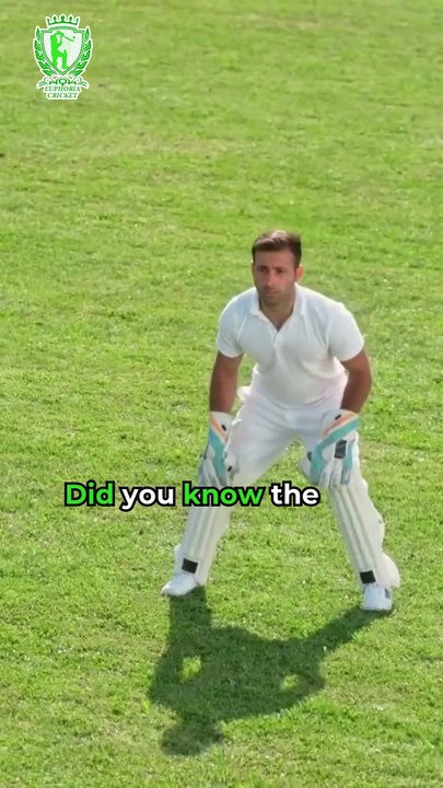 Pitch Size #euphoriacricket