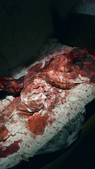 L'exposition la plus choquante sur les serial killers 🩸 : Objets, reconstitutions et VR