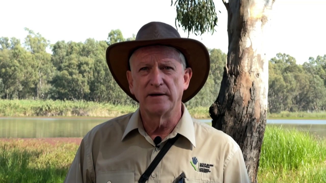 Barmah National Park grasslands thriving after removal of feral horses